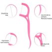 Picture of 2 in 1 Oral Care Dental Floss Oral Care 3 in 1 Tooth Cleaning Dental Floss Toothpicks Plastic Set for Fresh Breath and Healthy Gums- 20 Piece