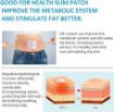 Picture of Slimming Patch Weight Loss Stickers Fat Burning Patch
