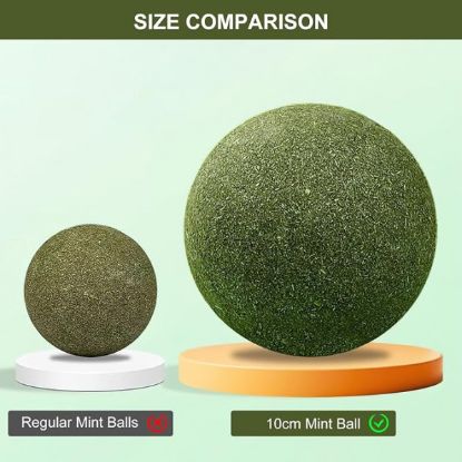 Picture of CAT TEETH CLEANING BALL