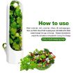 Picture of herb saver capsule case fridge container herb saver