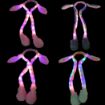 Picture of LIGHTING  HEADBAND RABBIT HEADBAND