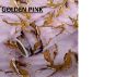Picture of PINK GOLDEN MARBLE FOIL Pink Gold PINK MARBLE FOIL