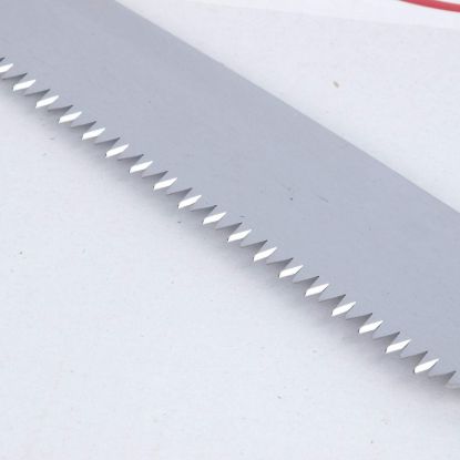 Picture of PRUNE CHROMIUM KARAVTI