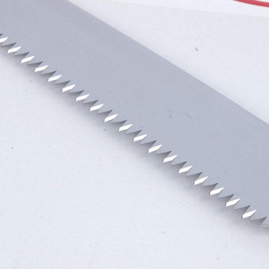 Picture of PRUNE CHROMIUM KARAVTI