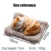 Picture of Sleeping Cat Cat Stuffed Toy   Car Dashboard Cat