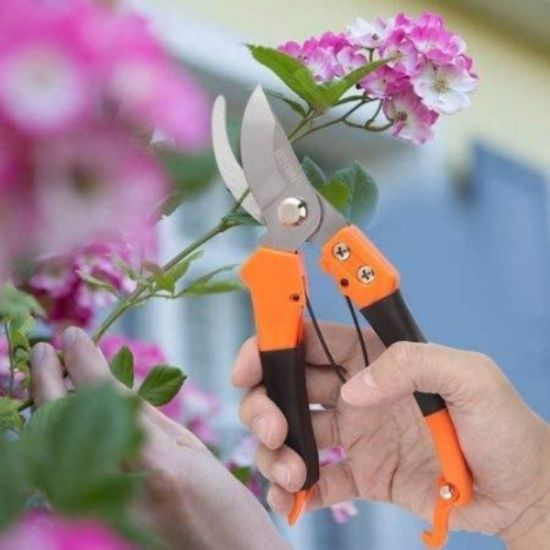 Picture of GARDEN FLOWER CUTTER SCISSOR