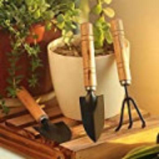 Picture of GARDENING TOOL WODEN