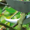 Picture of Pruning Shears Bypass Hand Pruner Less Effort Garden Clipper with Sharp Blade and Comfortable Handle Tree Branch Secateurs