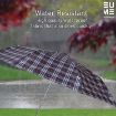 Picture of Umbrella 2 Fold Auto Open Waterproof Pongee Umbrella