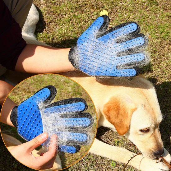 Picture of DOG CLEANER GLOVES