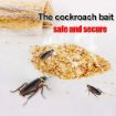 Picture of New Large Cockroach rd ct Trap Killer  Cockroach Traps Box Cockroach Bug Roach Catcher Cockroach Killer Four Sided Cockroach Traps Box