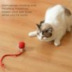 Picture of Rolling Ball  Electric Dog Ball Toy
