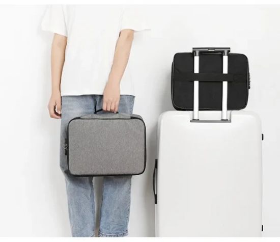 Picture of DOCUMENT ORGANIZER BAG