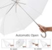 Picture of Transparent Umbrella  Travel Umbrella  Photo Prop Weddings Travel Umbrella