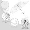 Picture of Transparent Umbrella  Travel Umbrella  Photo Prop Weddings Travel Umbrella