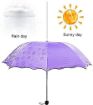 Picture of Magic Umbrella Magic Print 3 Fold Umbrella for UV Sun and Rain Newest Layer Umbrella Umbrella for UV Protection Rain Umbrella for Girls Women Boys Men Children