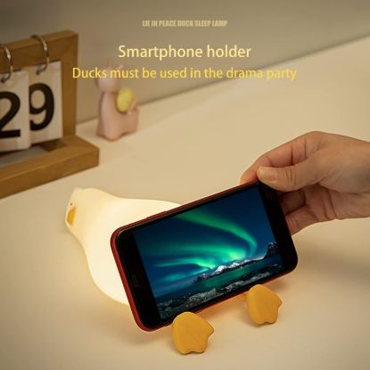 Picture of SLEEPING DUCK NIGHT LAMP