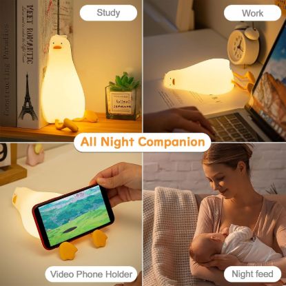 Picture of SLEEPING DUCK NIGHT LAMP