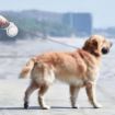 Picture of Retractable Dog Leash Dog Leash 3M DOG LEASH