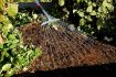 Picture of Garden Rake Leaf Rake Garden Rake with Telescopic Handle