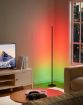 Picture of RGB LIGHT Corner Floor Lamp  LED Floor Lamp