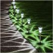 Picture of Solar Pathway Lights (10 pcs) 10 pcs solar light path light garden light