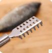 Picture of Fish Scaler  Fish Scale Remover Fish Scale Scraper Fish Scaler Sawtooth Scale Descaler Scraper Cleaner Fish Scales Brush Shaver Remover Scale Knife