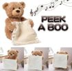 Picture of PEEK A BOO TOY  Teddy Bear