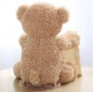 Picture of PEEK A BOO TOY  Teddy Bear