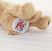 Picture of PEEK A BOO TOY  Teddy Bear