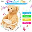 Picture of PEEK A BOO TOY  Teddy Bear