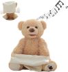 Picture of PEEK A BOO TOY  Teddy Bear