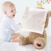 Picture of PEEK A BOO TOY  Teddy Bear