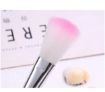 Picture of 5 Pcs/Pack Pink Mini Eyeshadow Foundation Eyebrow Lip Makeup Brush Fine Beauty  5 Pcs Essentials Face Brush Set  Eyeshadow Makeup Brush Set LIGHT PINK