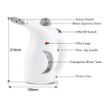 Picture of Garment Steamer 2 in 1 Plastic Electric Iron Portable Handheld Garment and Facial Steamer for Clothes Portable Fabric Steam Brush Face and Nose, Cold and Cough Steamer machine