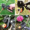 Picture of Garden Grafting GARDEN TOOL