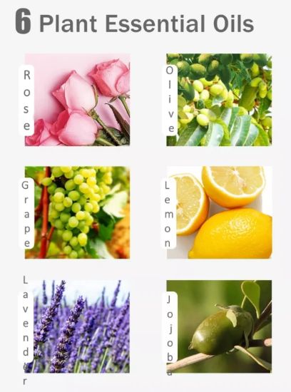 Picture of SPA GEL GLOVES