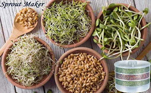 Picture of Plastic Sprout Maker Box  Hygienic Sprout Maker with 4 Container | Organic Home Making Fresh Sprouts Beans for Living Healthy Life spot