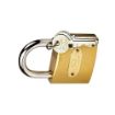 Picture of BIG  Brass Lock and Key Padlocks Securing Luggage While Travelling Locks