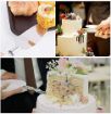 Picture of acrylic cake knife Stainless Steel Cake Knife and Server Set with Acrylic Handle Slicer Cutter Pizza Shovel Knife Pie Server Hand Tool with Cutting Knife Decorating Tool