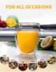 Picture of Double Wall Insulated Glass Coffee Cups Double Wall Thermal Insulated Mug
