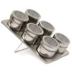 Picture of Stainless Steel Magnetic Spice Rack Spice Set (6 pcs)  Standard Magnetic Stainless Steel Cruet Condiment Spice Jars Set (Silver)