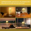 Picture of Jellyfish Lamp