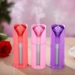 Picture of Humidifier Rose Diffuser Portable Mini USB Ultrasonic Humidifier Rose Flower Air Oil Diffuser Electric Mist Makers Purifier LED Night Lights