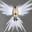 Picture of Eagle Wall Light Eagle Night Lamp 3d Animals Led Wall Light