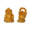 Picture of 6 pcs Laughing Buddha golden buddha 6 Pc Set Small buddha lucky buddha