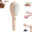 Picture of Self-Cleaning Anti-Static Massage Comb 2 In 1 Self Cleaning Hair Brush Scalp Massage Comb Hair Brushe