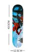 Picture of Portable Skateboard 4 Wheels Skate Boards Mini Cruiser Skateboard Beginners Long Board