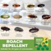 Picture of Roach Bait Stations  Cockroach Repellent Cockroach Killer Gel Trap   Roach Repellent