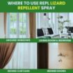 Picture of Lizard Repellent Spray  Lizard Spray Lizard Killer
